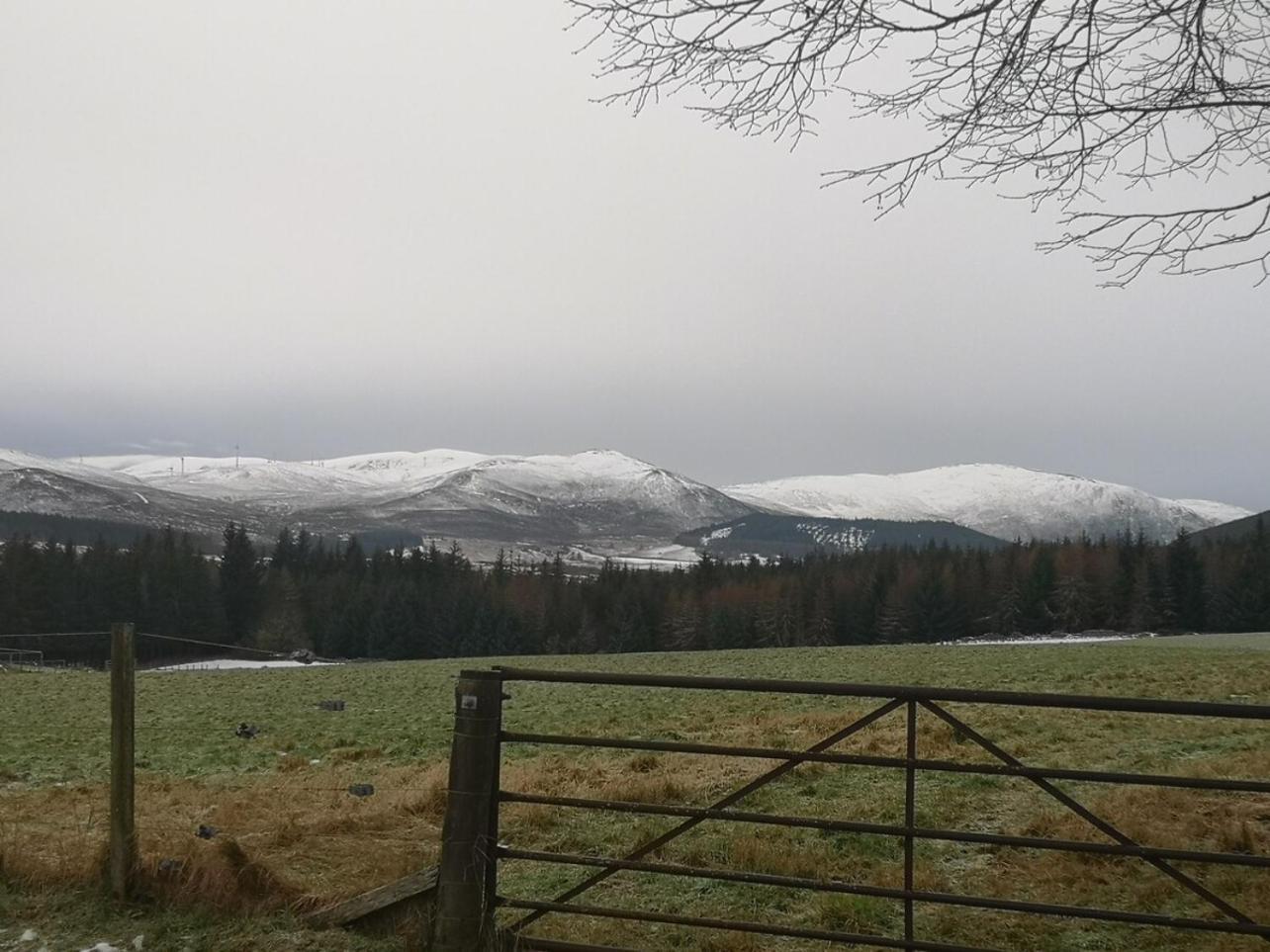 Mike'S 3-Bedroom Countryside Cottage Alness Extérieur photo