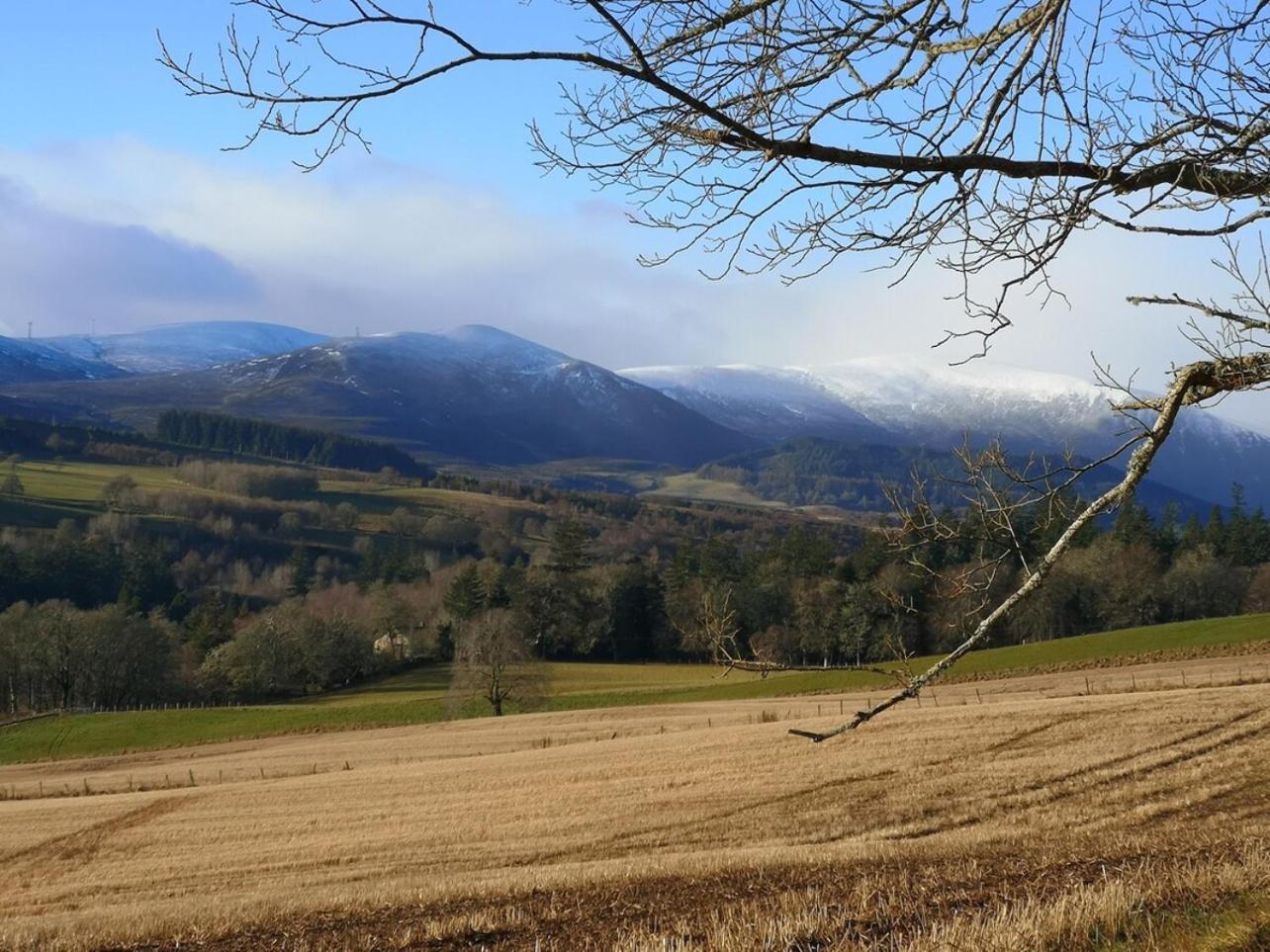 Mike'S 3-Bedroom Countryside Cottage Alness Extérieur photo